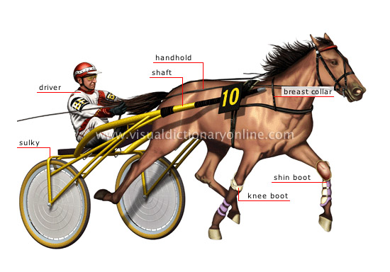 Trotting Harness Racing