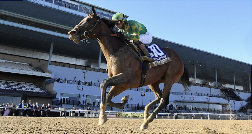 🏇 Stay ahead with US Racing. Award-winning horse racing news, Tampa Bay Derby odds & more. 🏆 All you need for every race 🌟