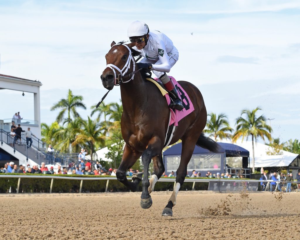 Todd Pletcher Seeks his First Preakness Stakes Win. Bet on the Preakness Stakes with the latest news and the Best Odds and Picks.