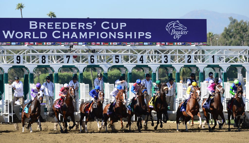 Breeders’ Cup News: Sovereignty Still No. 1 in BC Classic Top 10 . US Racing, All you need for every Race, news, picks and expert odds.