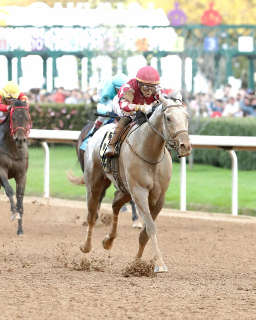 Stay ahead with US Racing. Award-winning horse racing news, 2027 Kentucky Derby Prep Races odds & more. All you need for every race.