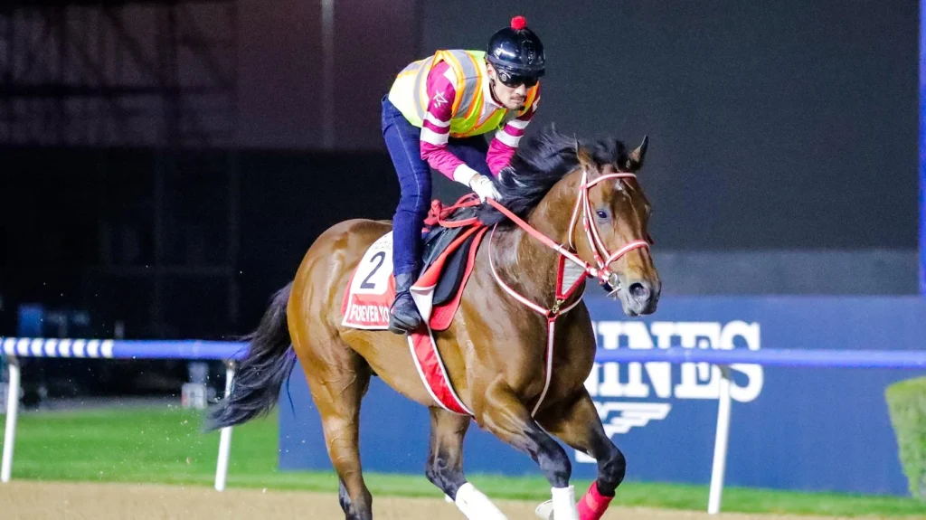 Stay ahead with US Racing. Award-winning horse racing news, Dubai World Cup odds & more. All you need for every race.