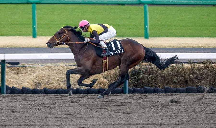 Stay ahead with US Racing. Award-winning horse racing news, Kentucky Derby Contenders odds & more. All you need for every race.