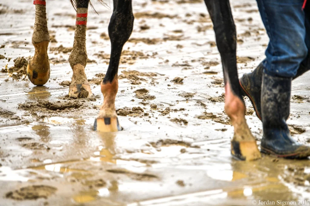 Stay ahead with US Racing. Award-winning Kentucky Derby Betting news, race previews, results, odds & more. All you need for every race.