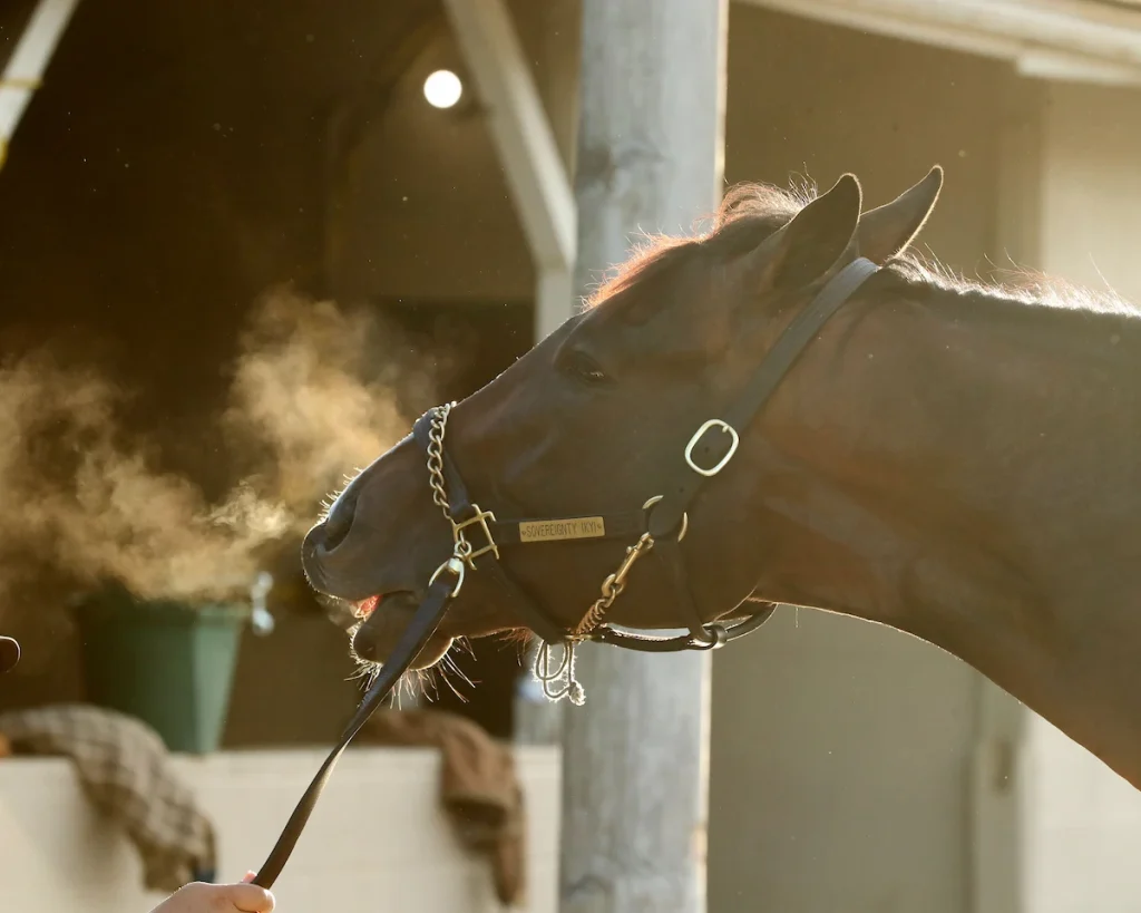 Stay ahead with US Racing. Award-winning Kentucky Derby Betting news, race previews, results, odds & more. All you need for every race.