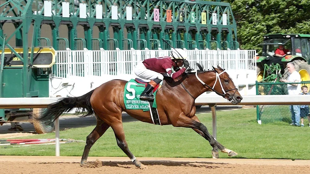 Preakness Stakes Betting Contender Clever Again: Post position: 8, Odds: 5/1, Jockey: Jose Ortiz, Trainer: Steve Asmussen.