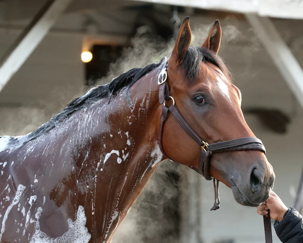 Stay ahead with US Racing. Award-winning Kentucky Derby Betting news, race previews, results, odds & more. All you need for every race.