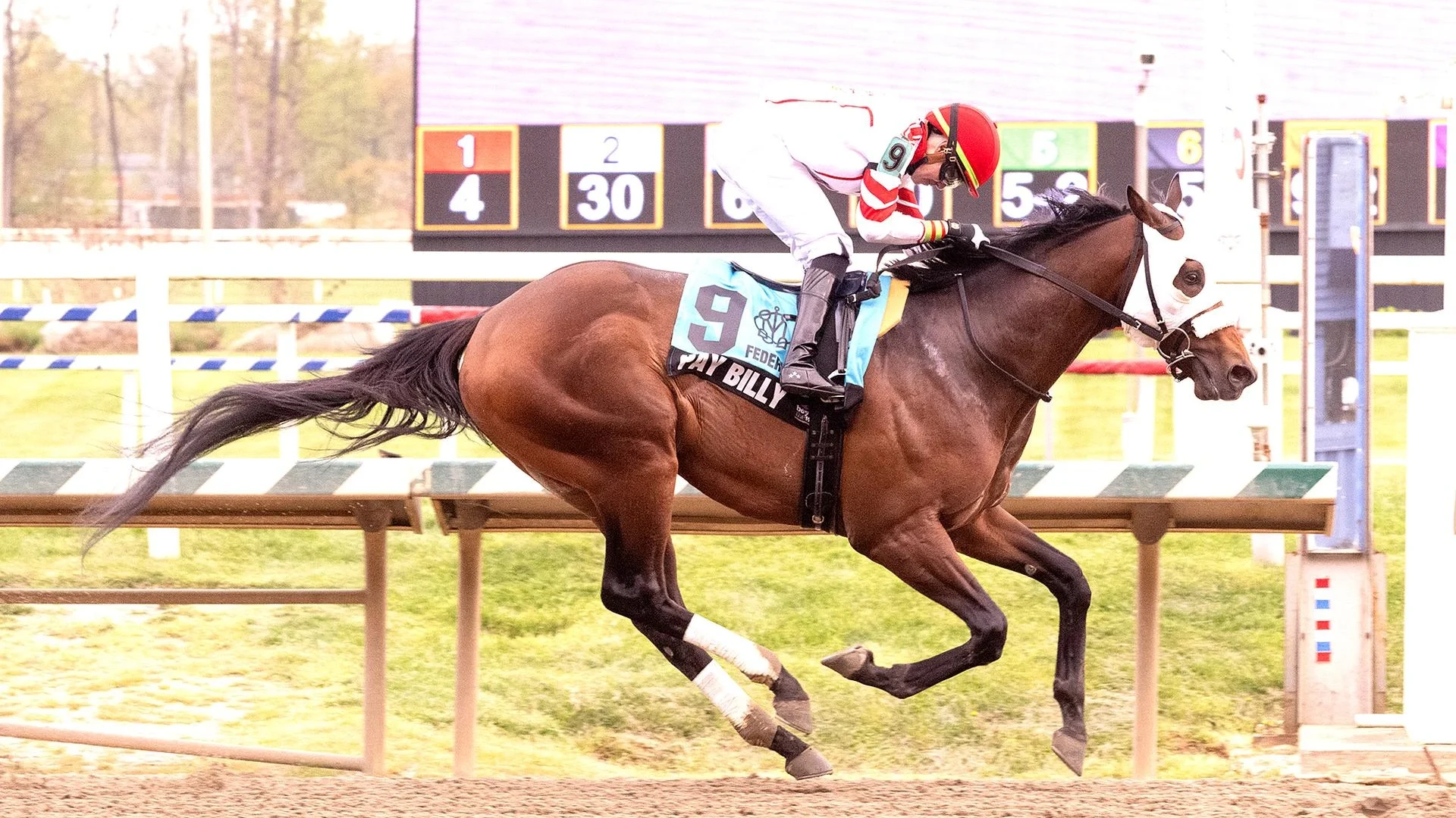 Preakness Stakes Betting Contender Pay Billy: Post Position: 5, Odds: 20/1, Jockey: Raul Mena, Trainer: Mike Gorham.