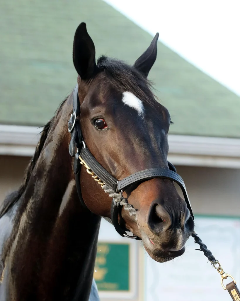 Stay ahead with US Racing. Award-winning Kentucky Derby Betting news, race previews, results, odds & more. All you need for every race.