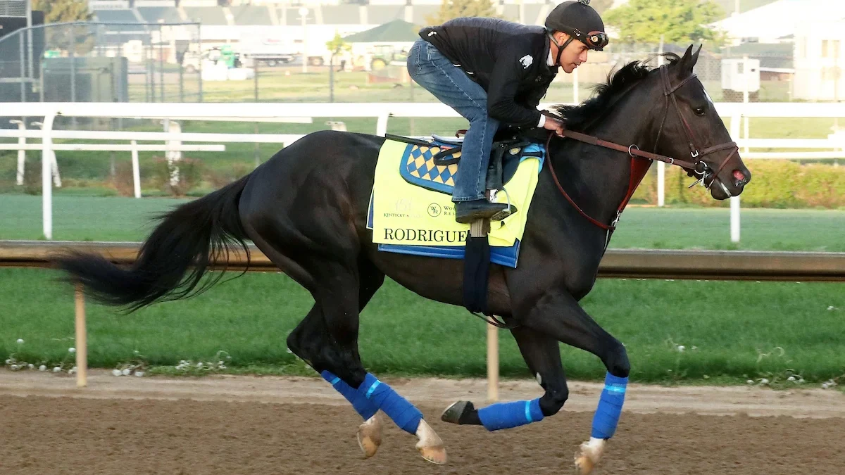 rodriguez horse contender
