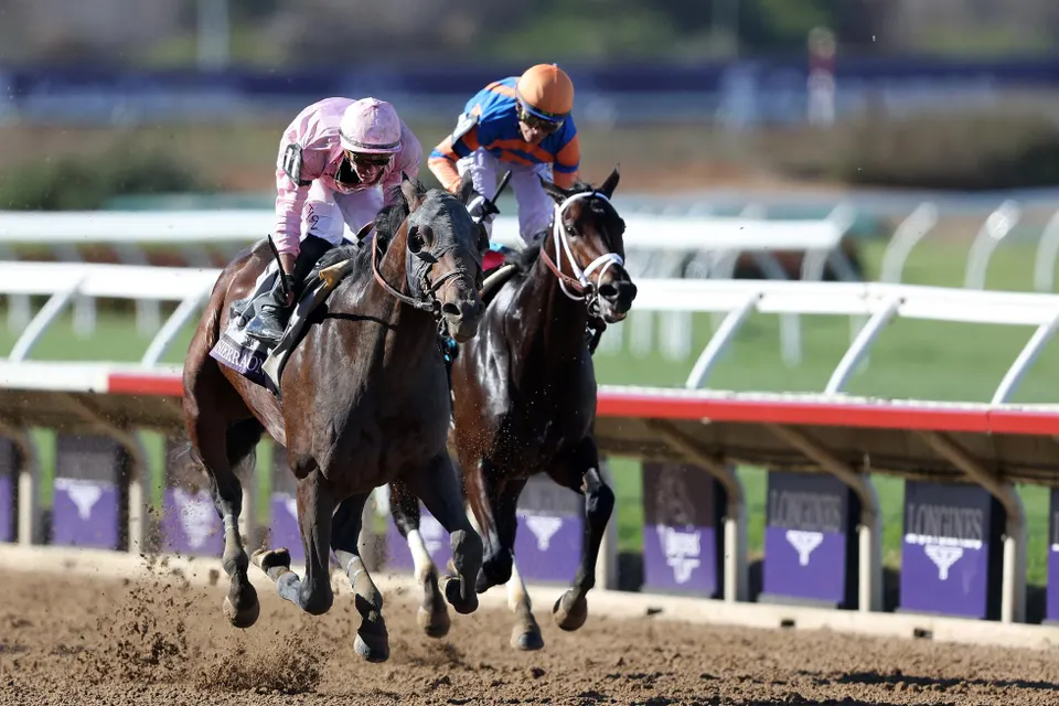 Fierceness vs Sierra Leone on the 2025 Whitney. US Racing, All you need for every Race, news, picks and expert odds. US Racing, All you need for every Race, news, picks and expert odds.