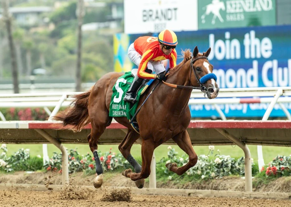 Ohio Derby Odds: Desert Gate, Chip Honcho, Ocelli Top Solid Field
