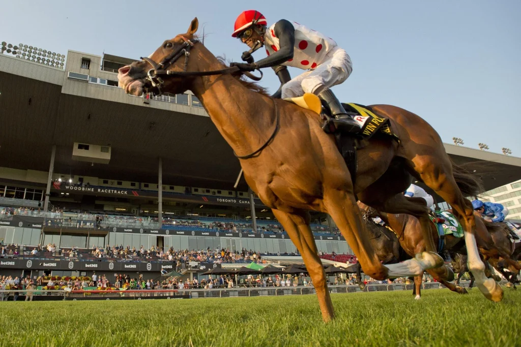 A Triumphant Return: Can Win for the Money Win Again in the Woodbine Mile?