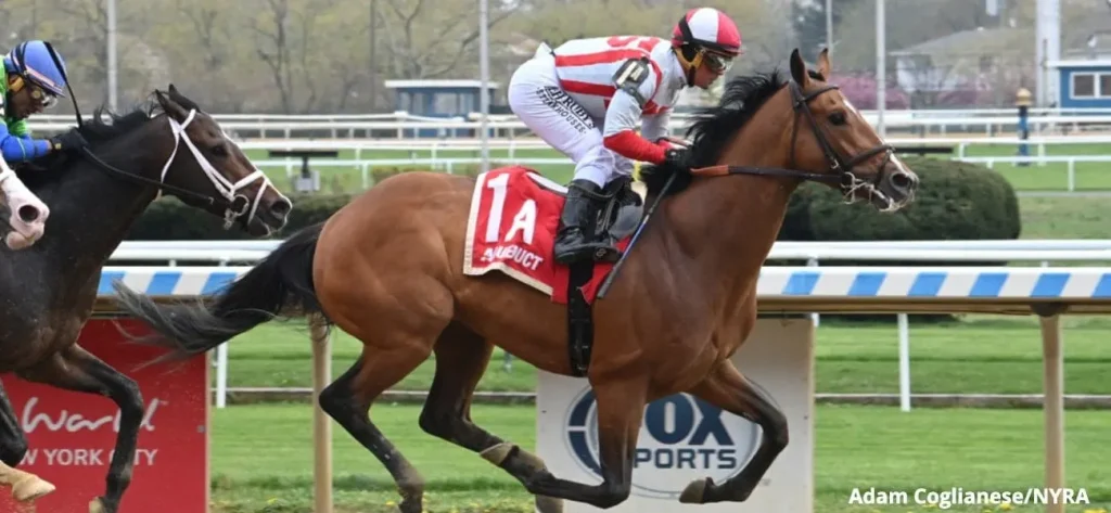 contrary thinking with a jockey on him running in a race