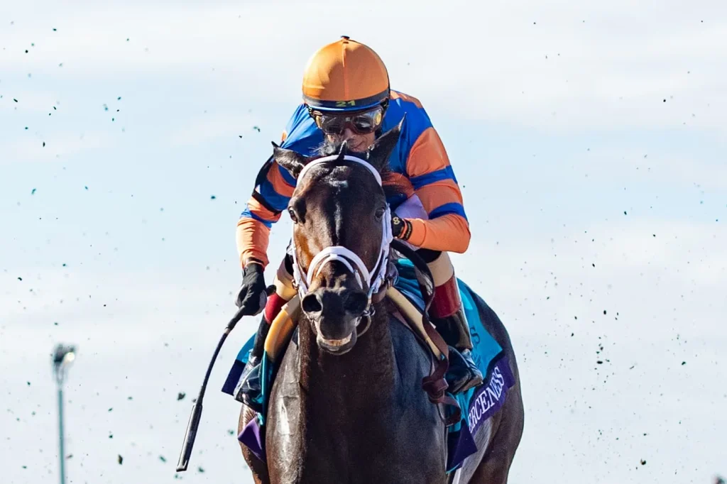 fierceness with a jockey on him running