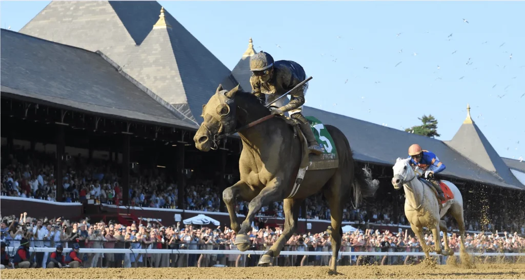 fierceness with a jockey on him running in a race