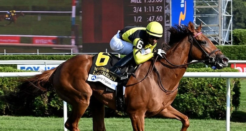 Rising Stars and Veteran Trainers: The Key Connections Chasing Glory in Keeneland's Feature Races. US Racing, all you need for every race.