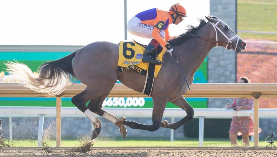 ted noffey breeders cup juvenile