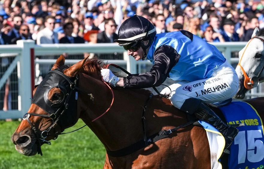 2025 melbourne cup