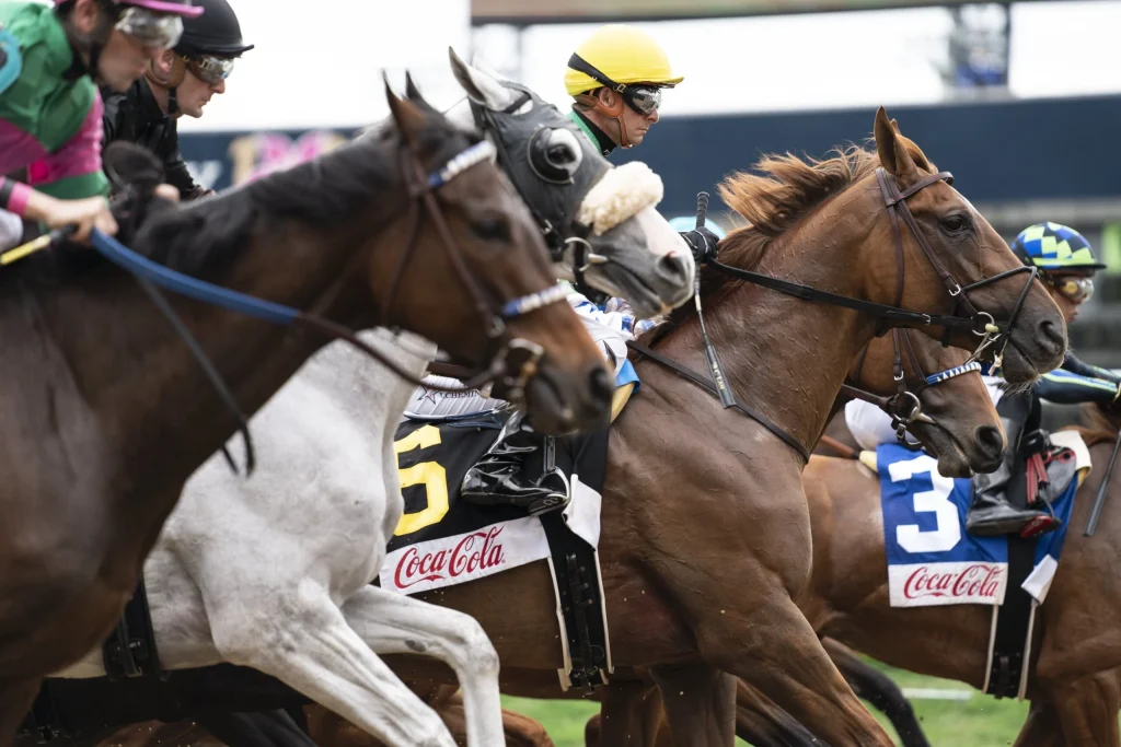 why kentucky derby prep races matter