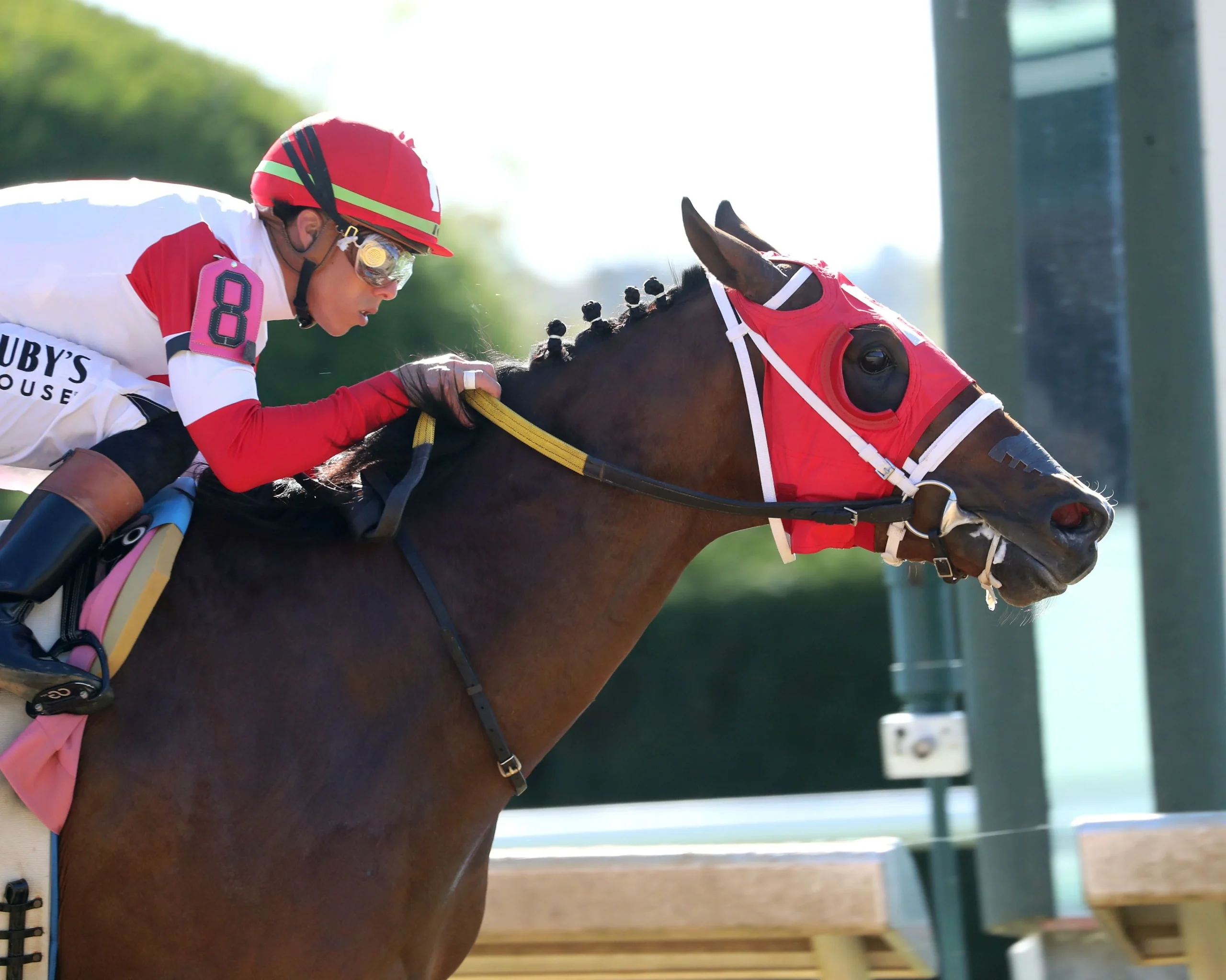 kentucky jockey club stakes historical trends