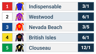 Native Diver Stakes Official Odds