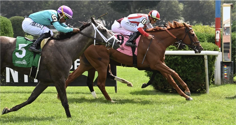 Go For Wand Stakes Odds Betting Tips Analysis Picks