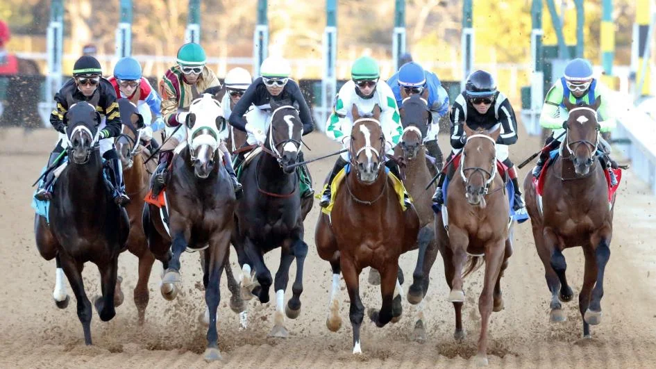 Kentucky Derby Betting Trends December to January