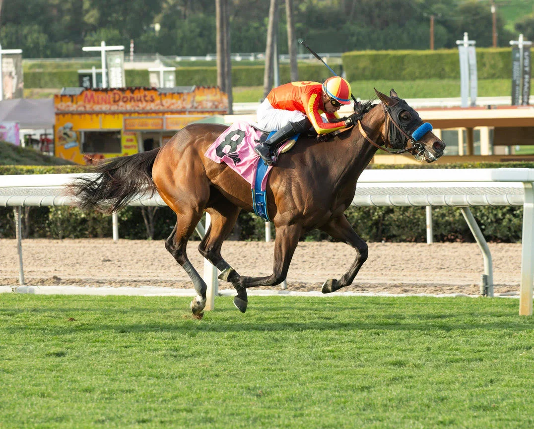 La Canada Stakes Picks and Odds