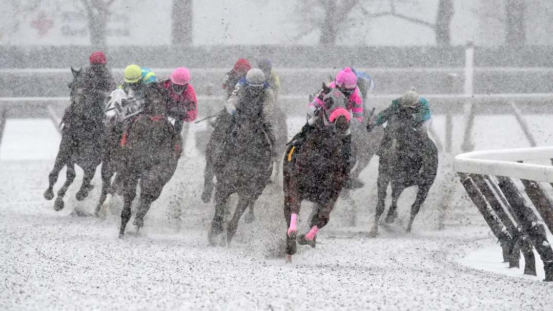 Cold Stress and Winter Burnout in Kentucky Derby Betting
