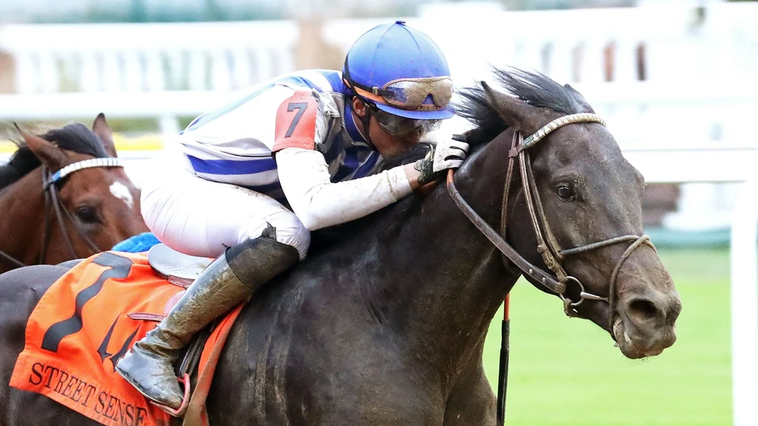Future Wager Pool Duchting the Derby Field