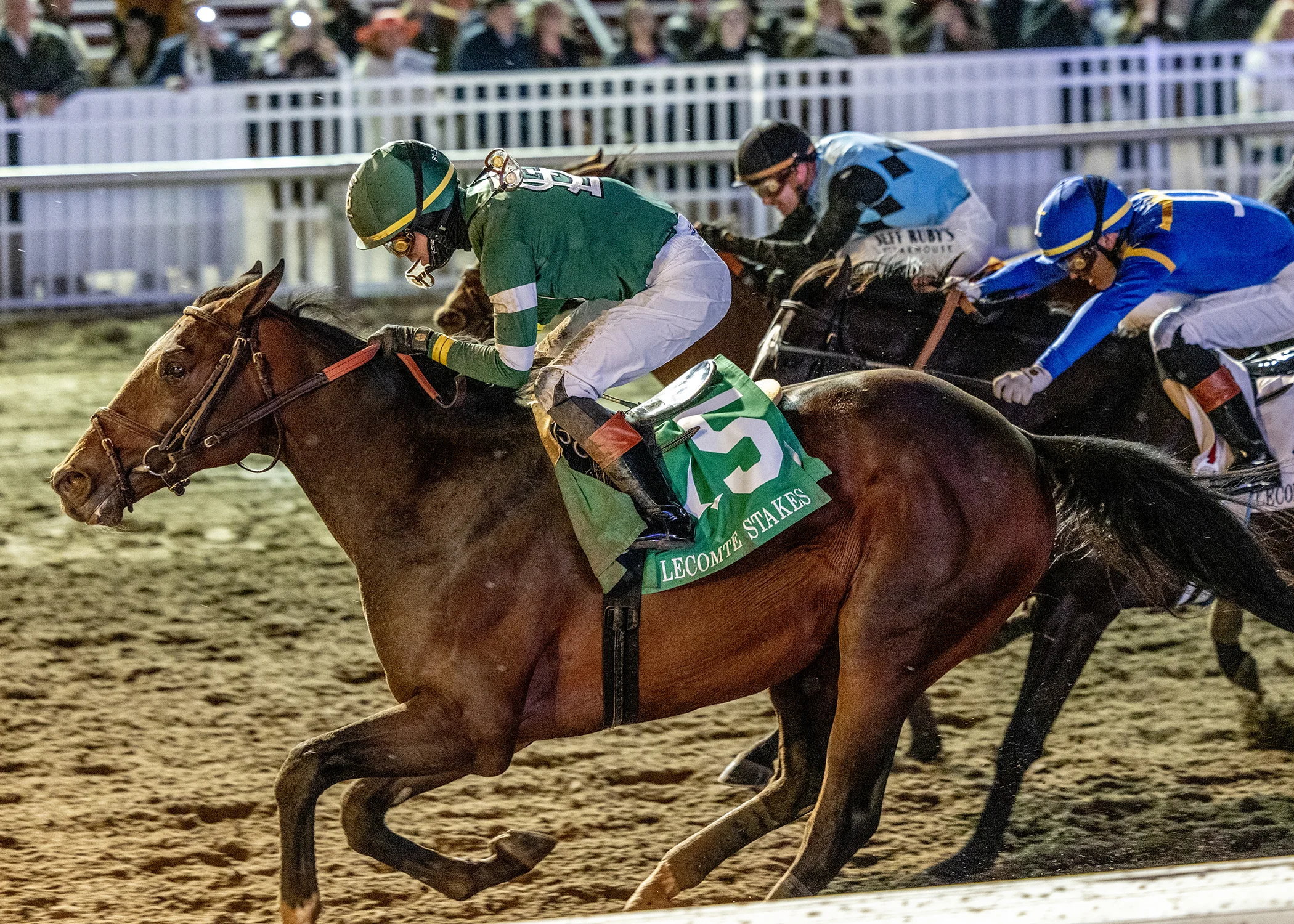 Golden Tempo 2026 horse contender