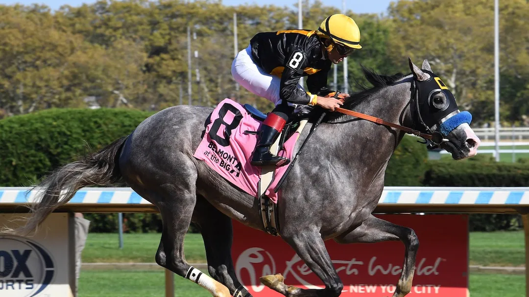 Kentucky Derby Betting Can Napoleon Solo Handle the Distance