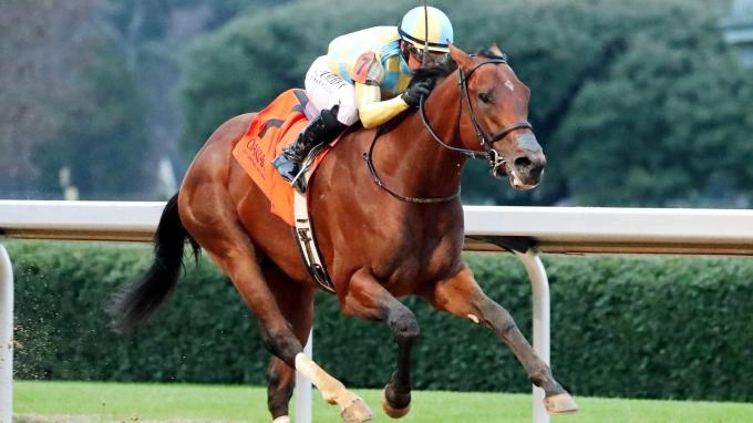 Kentucky Derby Betting Strategic Risk Bounce