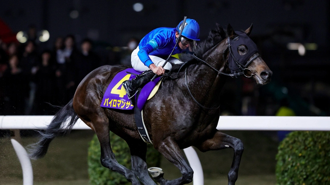 Kentucky Derby Betting The Dubai Wildcard Explained
