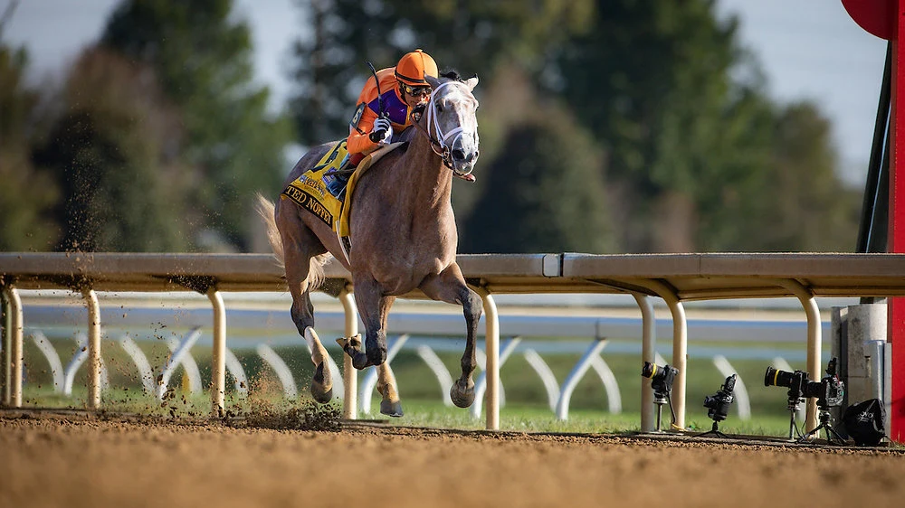 Kentucky Derby Odds Shuffle Ted Noffey Idle