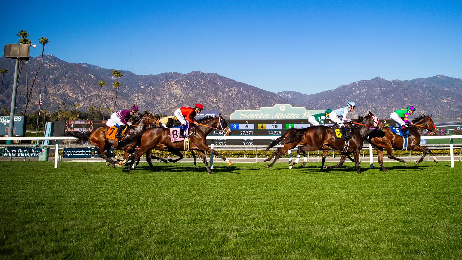 Las Flores Stsakes Picks Analysis