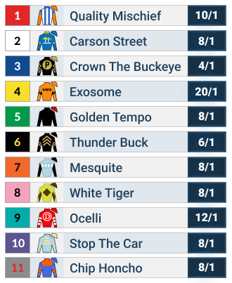 Lecomte Stakes Odds