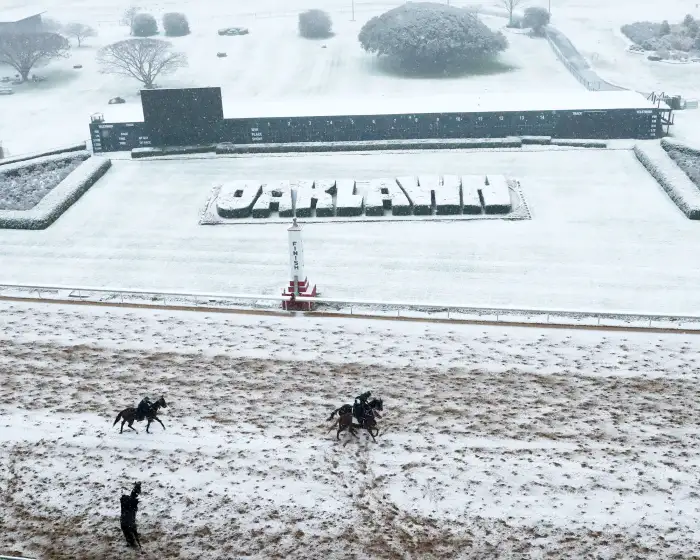 Southwest Stakes Cancelled