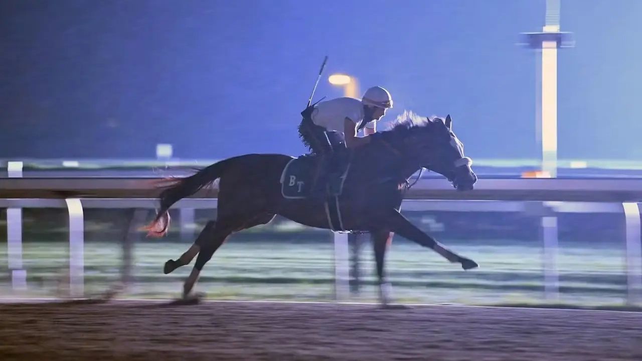 Workouts in Kentucky Derby Betting