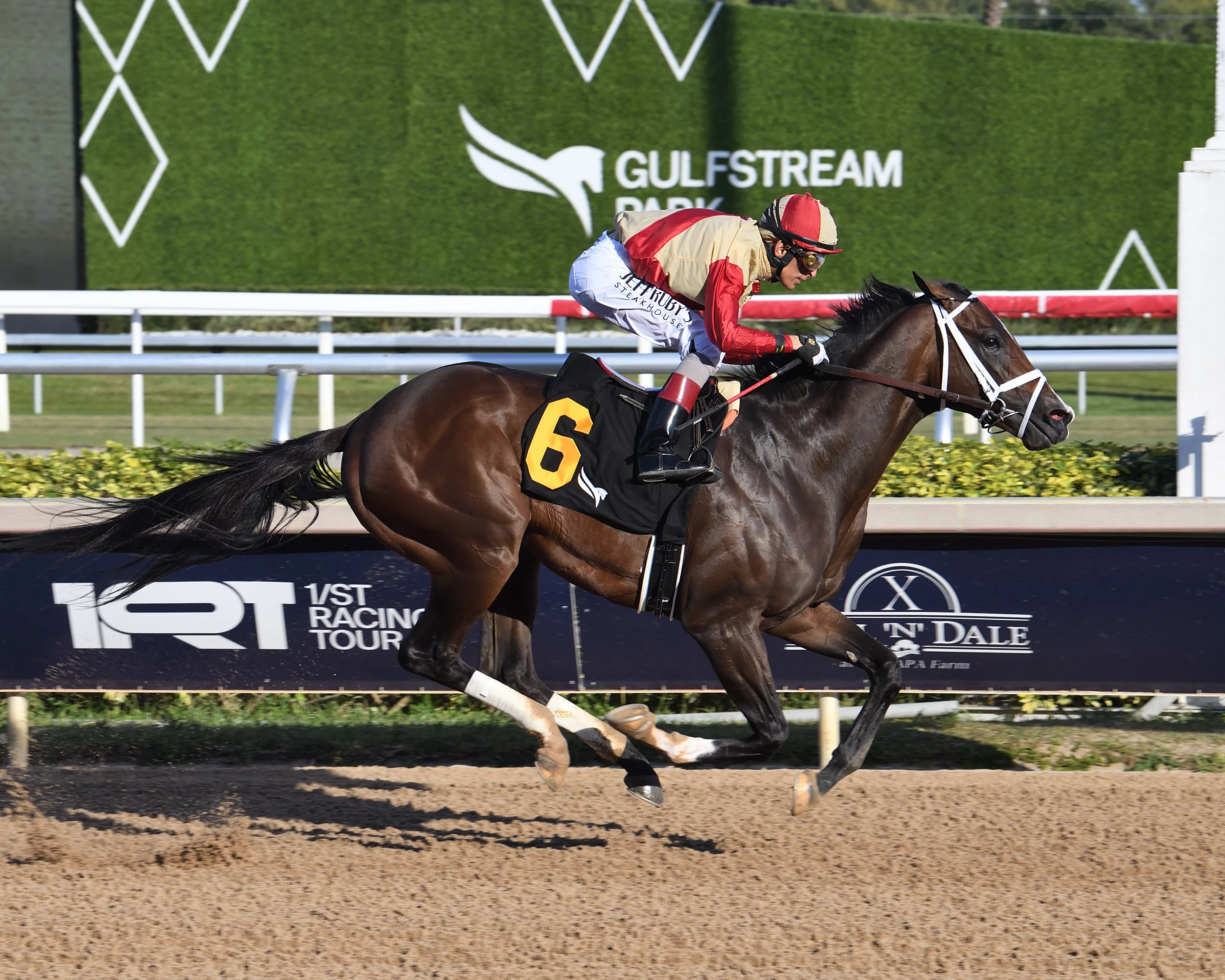 Holy Bull Stakes Odds: Can Incredibolt Live Up to his Name?