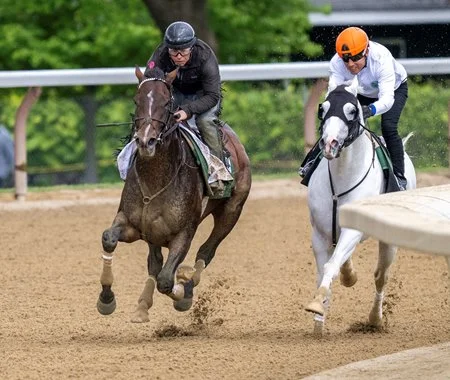 Kentucky Derby Betting: Reading the Work-Tab to Spot a True Contender
