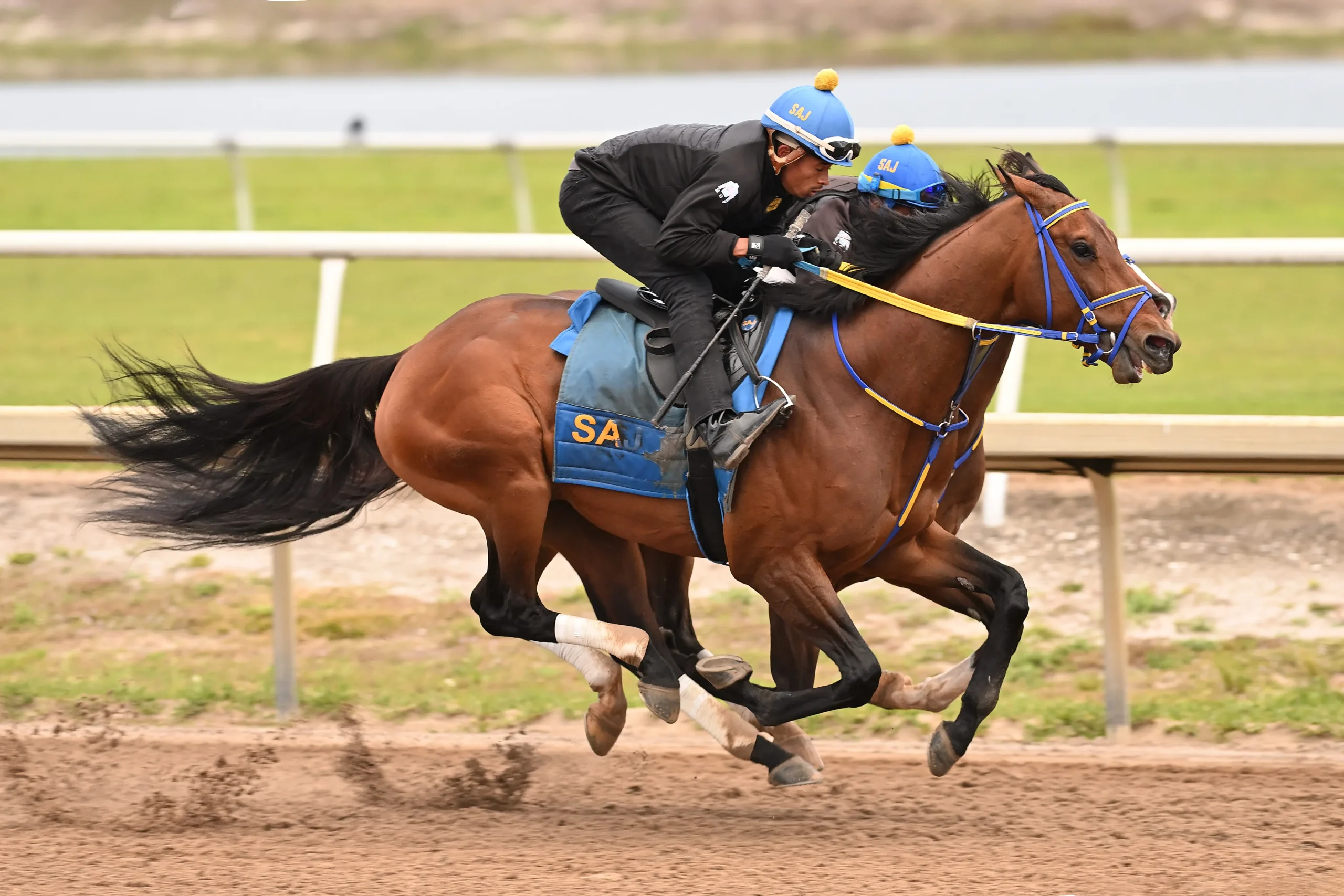 Pegasus World Cup: Early Look at Leading Contenders