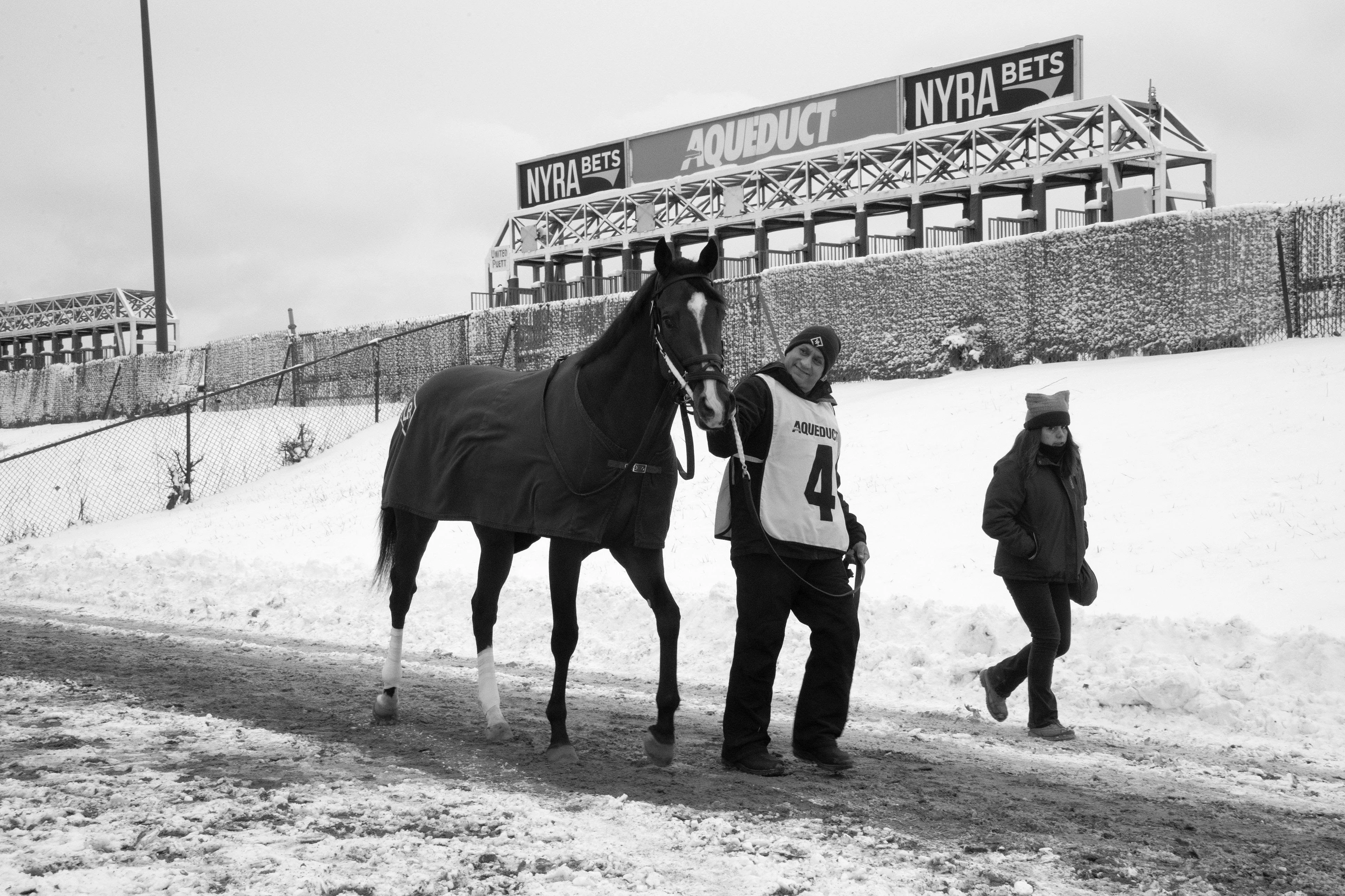 Weekend Racing Canceled at Aqueduct, Withers Stakes to be Rescheduled