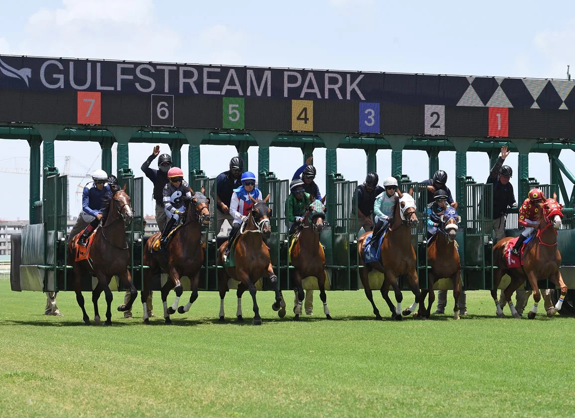 Why the Holy Bull Stakes Is a “Longshot Maker” for Kentucky Derby Betting