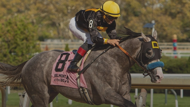 Kentucky Derby Betting Insights: Is it Time to "Sell" on Napoleon Solo?