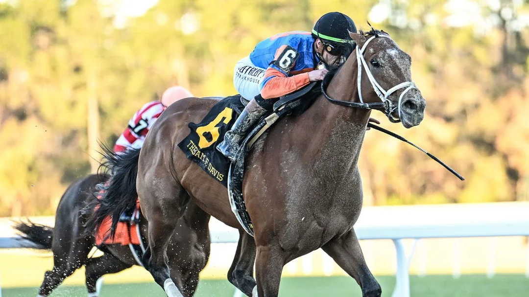 2026 Belmont Stakes Contender Profile: Renegade
