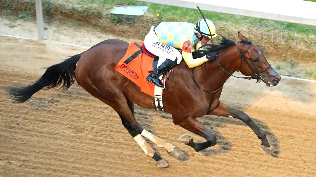 Kentucky Derby Betting: Can Strategic Risk Defend the Southwest Turf?