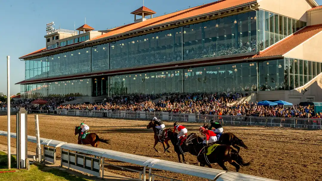 Kentucky Derby Odds Deep Dive: Why the Risen Star is the Real "Boss" Race
