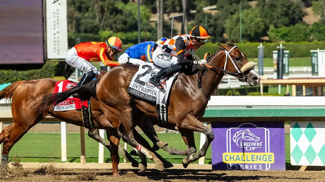 Kentucky Derby Preps Preview